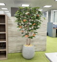梨 の木 180cm (フェイクグリーン なし ナシ 造花 インテリア 室内 人工観葉植物 1.8m おしゃれ 装飾 大型 作り物 ディスプレイ イベント オフィス シンボルツリー 自作 植栽 業者 メーカー ベストグリーン オリジナル 製造元)