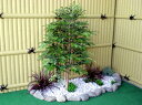 シマトネリコ 100cm (フェイクグリーン 造花 人工観葉植物 和風 ガーデニング 造園 庭園 坪庭 インテリア おしゃれ 室内 小型 装飾 作り物 自作 植...