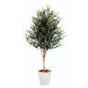 オリーブA 150cm (フェイク グリーン 人工 観葉植物 造花 インテリア おしゃれ 低木 中型 オフィス 室内 店舗 北欧 鉢植え シンボルツリー 自作 ...