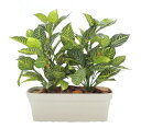 ダニアプランターA 高さ60cm (幅50cm 造花 フェイク 人工観葉植物 インテリア おしゃれ 装飾 ミニサイズ 作り物 プラント シンボルツリー 自作 植...