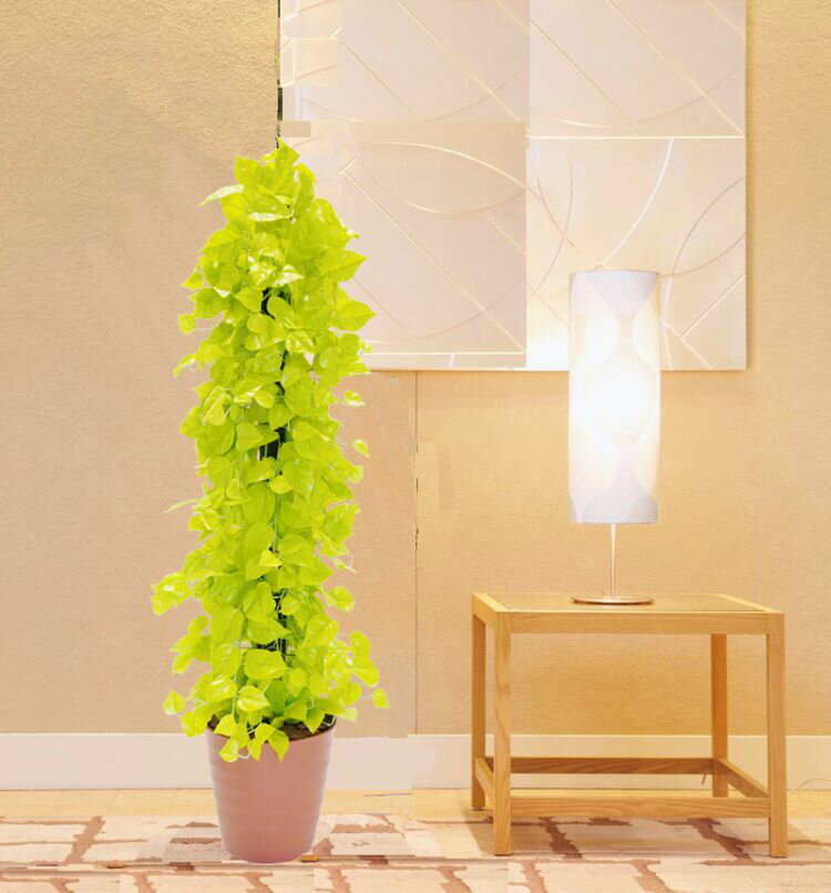 ゴールデンポトスタワー 150cm (造花 観葉植物 インテリア おしゃれ 室内 装飾 フェイク 中型 ディスプレイ 作り物 飾り グリーン 1.5m シンボルツリー 自作 植栽 業者 メーカー ベストグリーン オリジナル 製造元)