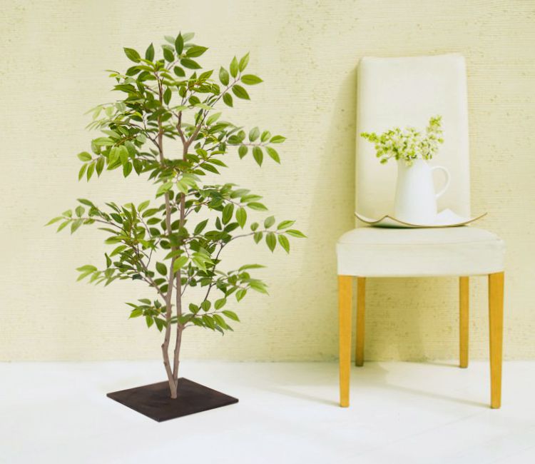楽天市場】フェイクグリーン(種類(植物)ケヤキ)の通販 楽天市場】フェイクグリーン(種類(植物)ケヤキ)の通販