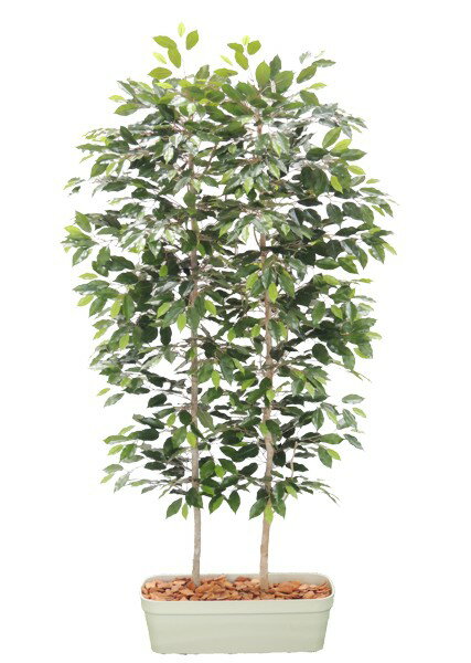 フイリパキラ1.5m｜GLPT-201 アーティフィシャルグリーン 人工観葉植物 鉢付きグリーン 造花 おしゃれ 上質 上品 高級 ゴージャス リビング サロン ホール