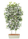 ベンジャミン パーテーション 180cm (間仕切 フェイク 造花 インテリア 人工観葉植物 1.8m 仕切り おしゃれ 室内装飾 フェイク 大型 シンボルツリ...