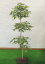 グリーンモミジ 150cm (造花 観葉植物 緑 和風 ガーデニング 造園 庭園 坪庭 もみじ カエデインテリア おしゃれ 室内)