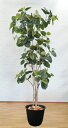 ウンベラータ 高さ270cm (大型サイズ 人工観葉植物 フェイク グリーン 特大 大型 インテリア 造花 樹木 造木 鉢植え 室内向け おしゃれ オフィス シ...