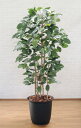 菩提樹 180cm (ベンガレンシス フェイク グリーン 大型 人工 観葉植物 鉢植え インテリア 店舗内装 造作 造花 ボダイジュ 植栽 シンボルツリー 自作...