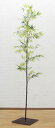 人工竹 黒竹 バンブーツリー1.8m (フェイクグリーン 自作 おしゃれ 造花 インテリア 観葉植物 大型 和風 日本風 DIY 店舗装飾 人工 H180cm ...