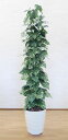 ジャイアントポトスタワー 200cm (オウゴンカズラ フェイク グリーン 大型 人工観葉植物 造花 樹木 鉢植え 2m おしゃれ 室内 飾り 造作 ディスプレ...
