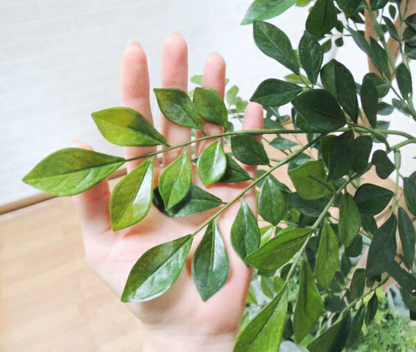 �緿������ ������ ���ޥȥͥꥳ���� �����դ� �⤵230cm (�ե����� ���꡼�� ���� �礭�� ¤�� ����ƥꥢ �͹� ���տ�ʪ ���� ȭ�դ� ���� �ǥ����ץ쥤 ¤�� ���֥��� 2.3m ���ե��� ����ܥ�ĥ꡼ ���� ���� �ȼ� �᡼���� �٥��ȥ��꡼�� ���ꥸ�ʥ� ��¤��)