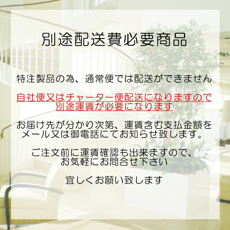 ���ޥȥͥꥳ �緿 �⤵400cm 5�ܳ�Ω (�͹����տ�ʪ ȭ���� ����ƥꥢ ¤�� ���� ¤�� �ե��������꡼�� ���� ������� ���ե��� ����ܥ�ĥ꡼ ���� ���� �ȼ� �᡼���� �٥��ȥ��꡼�� ���ꥸ�ʥ� ��¤��)