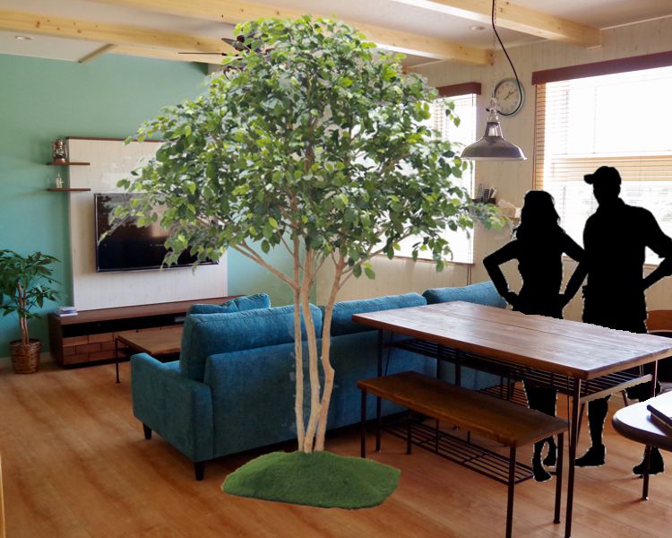 �緿������ ���ѷ� �ʥ�����ʥ٥󥸥�ߥ�Ω���� �⤵250cm �����դ�(�ե����� ���꡼�� ���� ��󥭡��ݥå��� �͹����տ�ʪ ¤�� ���� ¤�� ����ƥꥢ ���� ���� �ȼ� �᡼���� Ź�� ���ե���)