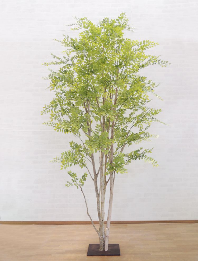 シマトネリコの木 明るい葉 230cm (造花 ...の商品画像