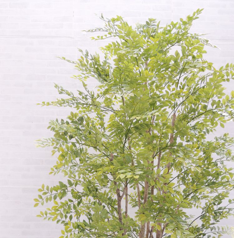 シマトネリコの木 明るい葉 230cm (造花...の紹介画像2