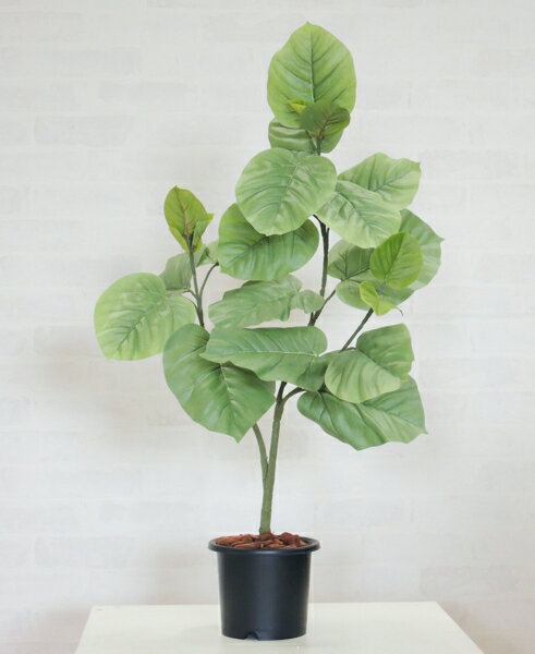 乐天商城 - ウンベラータ 80cm (造花 インテリア おしゃれ 室内 人工 観葉植物 装飾 ディスプレイ 店舗 作り物 フェイク グリーン プランツ 葉 大きめ シンボルツリー 自作 植栽 業者 メーカー ベストグリーン オリジナル 製造元)