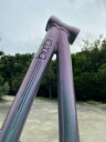 bixbibikes Route12【PRISM】プリズム ランバイク スト キックバイク ライダー 男の子 女の子 自転車 子供向け スポーツ プレゼント 誕...