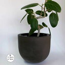 植木鉢 陶器 コンカーラウンドM35 おしゃれ ファイバーセメント 屋外OK 底穴あり 径36cm 高30cm 底穴あり