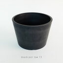 黒プラ鉢 ブラックポット ロータイプ15 サボテン 頑丈 おしゃれ 塊根植物 多肉 黒プラスチック鉢 コーデックス アガベ 径15cm 高さ10cm 浅鉢 black pot