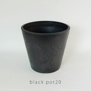 植木鉢 ブラックポット 20 頑丈 肉厚プラ 塊茎植物 アガベ black plastic pot 径20cm 高さ18cm スタンダード コーデックス
