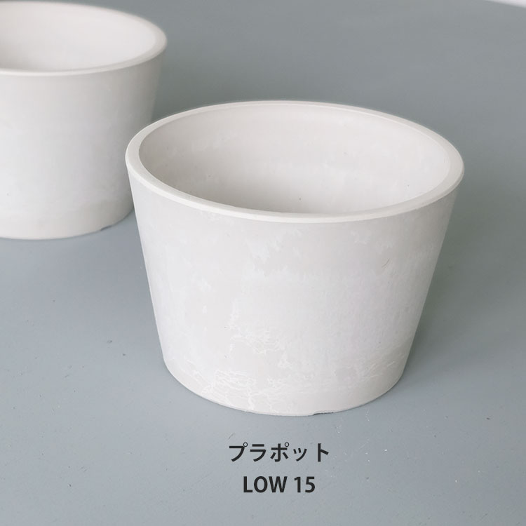 プラ鉢 ホワイトポット ロータイプ15 径15cm高10cm サボテン 頑丈 おしゃれ 塊根植物 多肉 黒プラスチ..