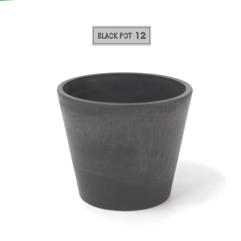 植木鉢 黒 プラ鉢 ブラックポット 12 BLACK PLASTIC POT おしゃれ 塊根植物 多肉 黒プラスチック鉢 コーデックス black plastic pot