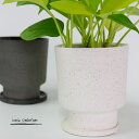 植木鉢 おしゃれ 陶器鉢 イオニアシンボトムM 受皿付 かわいい 鉢径12cm 高13cm ホワイト グレー 底穴あり