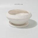 植木鉢 おしゃれ 陶器 イオニアサークルS 受皿付 セラミック鉢 径16cm 高7cm ホワイト 底穴あり