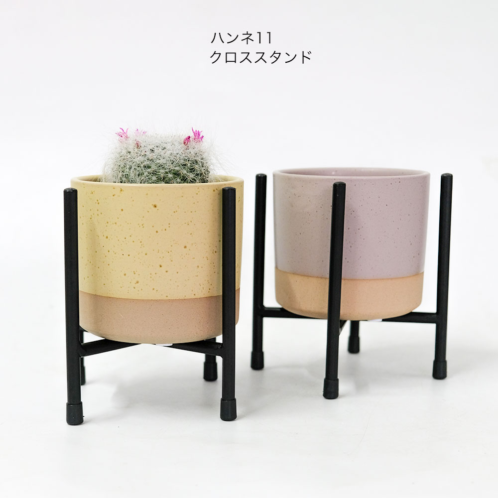 植木鉢 かわいい ハンネ11 クロススタンドセット 鉢カバー 底穴なし ツートンカラー