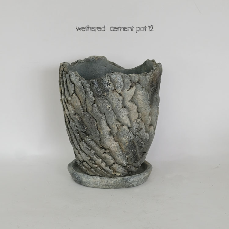 ȭ  wethered cement pot 12  ȭ stem