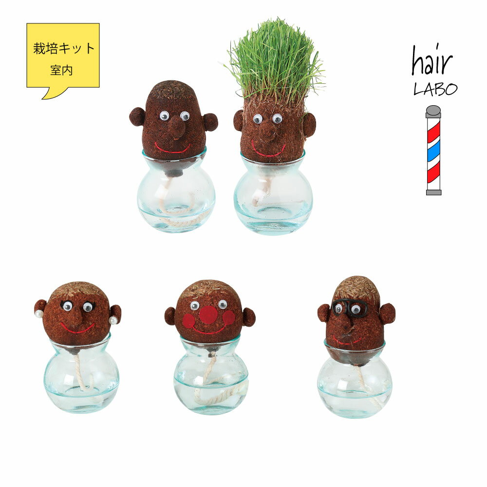 HAIR LABO ǥ˥ ݥå   ⤷ʪ إ