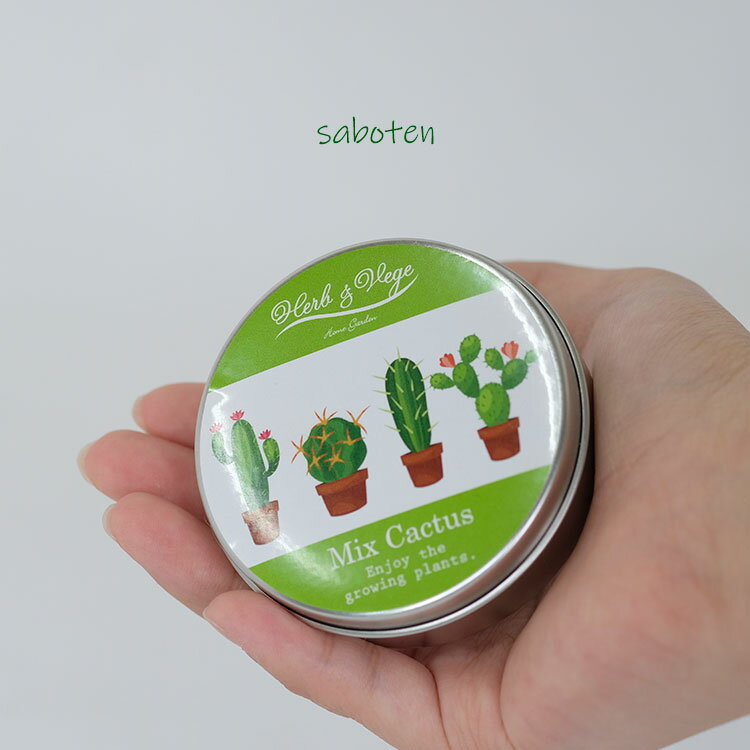 メール便OK サボテン 缶栽培セットミックス種 さぼてん カクタス 2