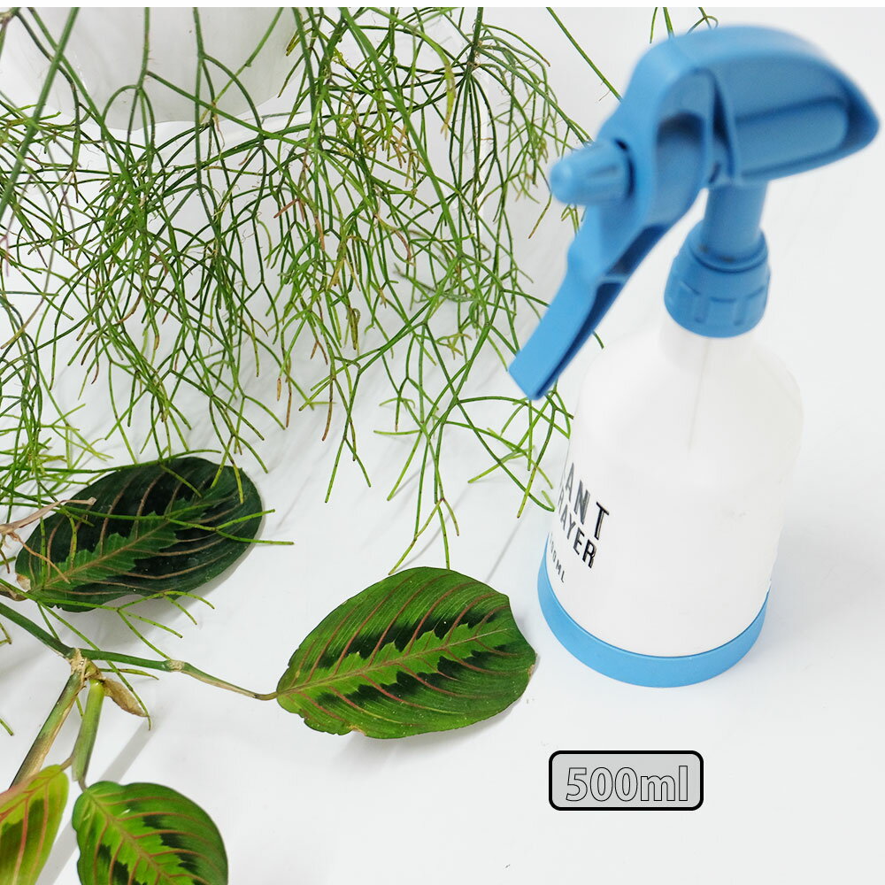 �ץ��ȥ��ץ쥤�䡼500ml�ߥ��� ����Ū ̸�᤭ ����������å� �֥롼 ���꡼�� �������ץ���