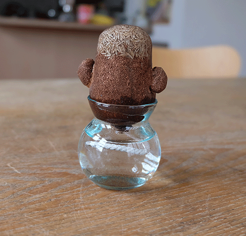 HAIR LABO �����ǥ˥� ���ݥ��å� �� ���� ���⤷����ʪ �إ���� �ѥѡ��ޥޡ����å�