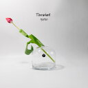 花瓶 Terrarium130/120 シンプル ドームガラス エル・コミューン(3)