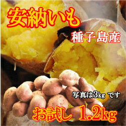 【発売開始！】あま〜い種子島産安納いも1.2kg（生）【10P26Jan11】【訳あり】【安納芋】【安納イモ】【密芋】【密いも】【みつ姫】【開店セール1010】