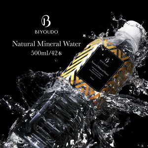 【365日出荷】美陽堂 BIYOUDO ミネラルウォーター 水 500ml×42本 送料 無料 九州 熊本産 シリカウォーター 放射性物質検査済み 阿蘇山由来 シリカ水 軟水 保存料なし (500ミリ/備蓄/日本製/国内/保存水/ミネラルウォーター/500ml×48本入りではございません/送料無料)