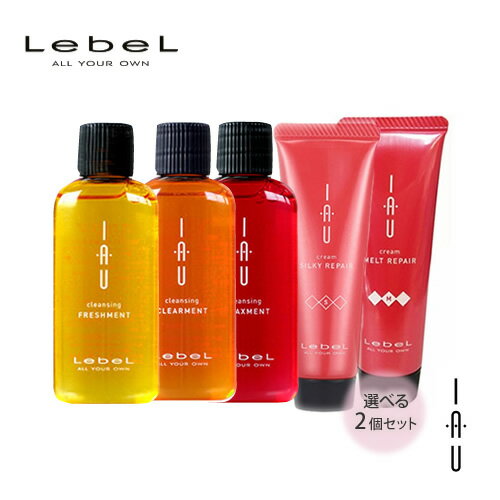 【2個フリーチョイス】Lebel ルベル イオ クレンジング 30ml 、トリートメント30g 選べるお得お試しセット【フリーチ…