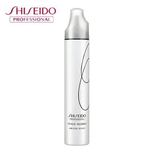 SHISEIDO  Xe[W[NX SW GAtB[EF[u 195g