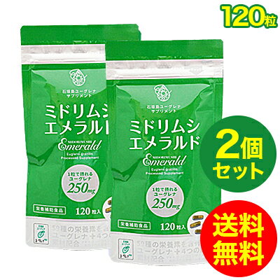 楽天スーパーSALE／35%OFF ミドリムシ エメラルド ユーグレナ サプリメント 乳酸菌/マキベリー/コエンザイムQ10/葉酸/パラミロン/置き換えダイエット/送料無料 120粒入り 2個セット【アルミパ…