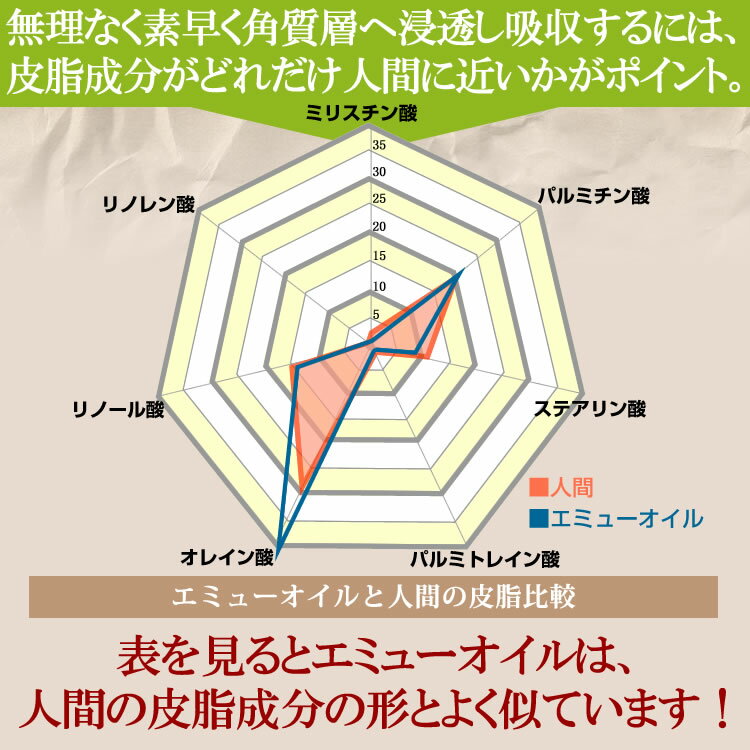 エミューオイルと人間の皮脂成分がとても近い!