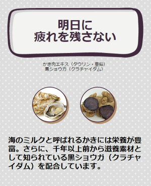 男性用サプリメント40代からの「俺のサプリ」牡蠣エキス・亜鉛・黒しょうが(クラチャイダム)【タウリン/亜鉛/ザクロ/オリーブオイル/ビルベリー】精力二日酔い飲み会(送料無料)