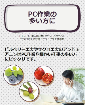男性用サプリメント40代からの「俺のサプリ」牡蠣エキス・亜鉛・黒しょうが(クラチャイダム)【タウリン/亜鉛/ザクロ/オリーブオイル/ビルベリー】精力二日酔い飲み会(送料無料)
