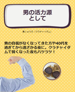 男性用サプリメント「俺のサプリ」牡蠣エキス・亜鉛・黒しょうが(クラチャイダム)【タウリン/亜鉛/ザクロ/オリーブオイル/ビルベリー/サプリ】精力二日酔い飲み会(送料無料)