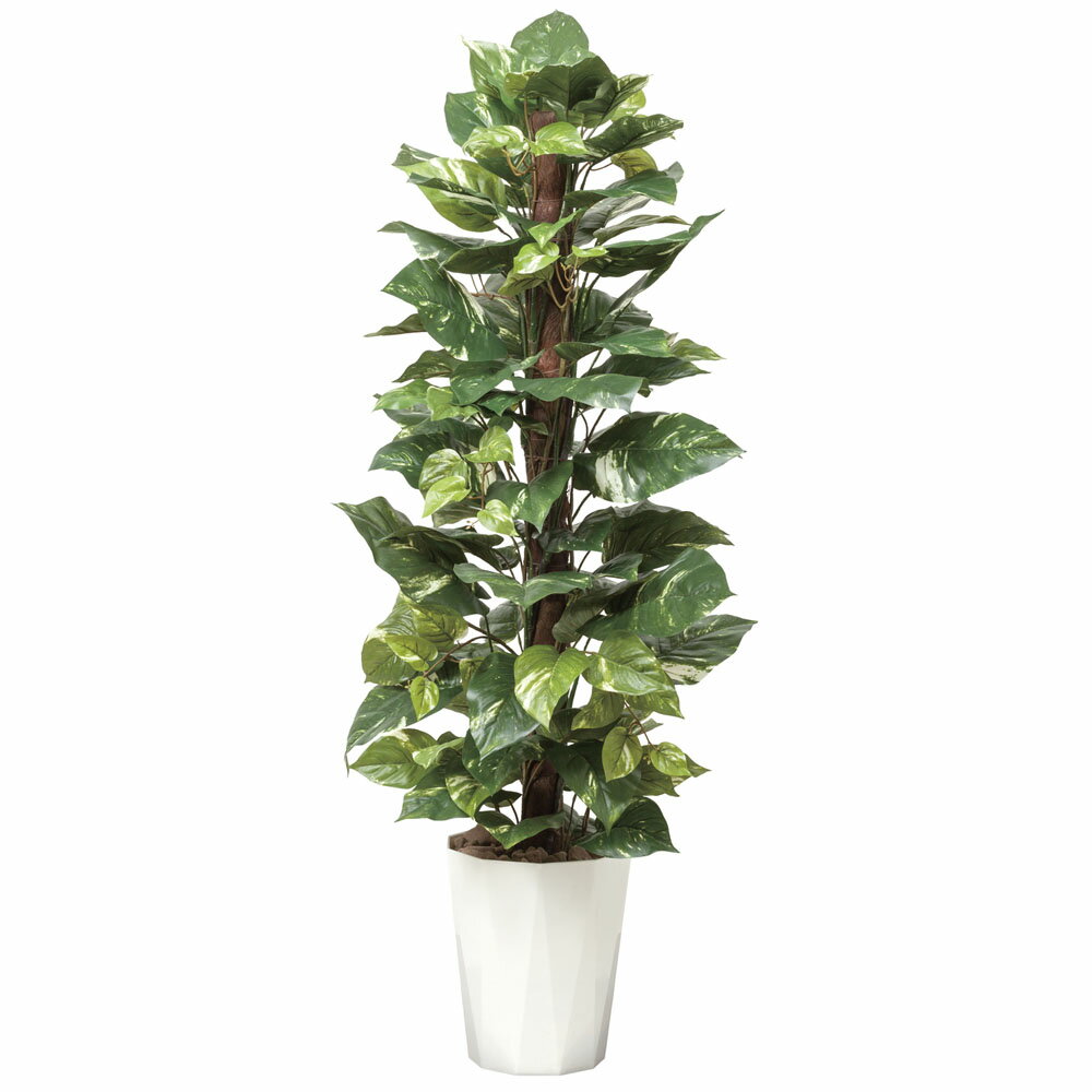 日本に 造花アート 抗菌 観葉植物 ポトス1 35開院祝い 店舗 贈り物 開局祝い 新装開店 ご栄転 引っ越し祝い オフィス 店舗 贈り物 フラワーギフト プレゼント お祝い お花 アーティフィシャルフラワー 送料無料 メッセージカード無料 光触媒 人工植物 抗菌 消臭 防汚