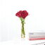 【送料無料】花瓶フラワー・フラワーベース　シリンダー（アンバー）　赤バラ7本お祝い お花 生花 薔薇 バラ ばら ローズ 花瓶 フラワーベース フラワーギフト 贈答 プレゼント 贈り物 全国配送 メッセージカード無料 楽ギフ あす楽