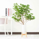 【送料無料】花瓶フラワー・フラワーベース アセビ 脚付きシリンダー(ホワイト)お祝い 観葉植物 ポリカーボネート ワンポイント プレゼント 贈り物 お洒落 スタ...