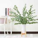 【送料無料】花瓶フラワー・フラワーベース ユーカリ 脚付きシリンダー(ホワイト)お祝い 観葉植物 ポリカーボネート ワンポイント プレゼント 贈り物 お洒落 ス...