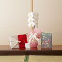 花とギフトのセット 胡蝶蘭 大輪1本立とカタログギフト(ミストラル/セーブル)風呂敷包み結婚祝い 就任祝い 退職祝い 贈り物 フラワーギフト プレゼント ギフト...