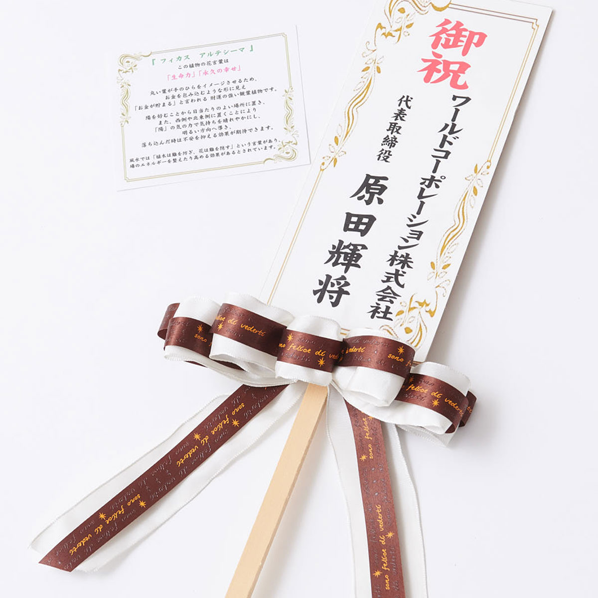 観葉植物 フィカス アルテシーマ 10号 インテリア鉢カバー ファイバークレイグレーポッド 仕様 高級感溢れる立札 花言葉カード 花 欧州から輸入の装飾リボン付 移転祝い 上場祝い 送料無料 開店祝い 開業祝い 開院祝い 開局祝い 移転祝い 上場祝い 新築祝い Sp