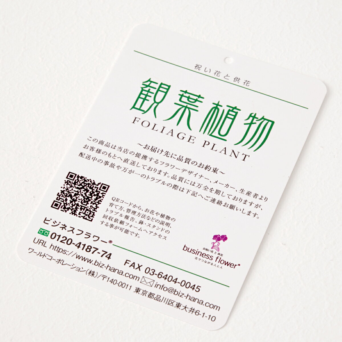 半額品 クリスマス限定仕様 クリスマスツリー観葉植物 ユッカ エレファンティペス 10号 バスケット鉢カバー 花言葉カード付お祝い 観葉植物 インテリアグリーン フラワーギフト 贈答 プ Uldv Edu Py 半額品 クリスマス限定仕様 クリスマスツリー観葉植物 ユッカ エレファンティペス 10号 バスケット鉢カバー 花言葉カード付お祝い 観葉植物 インテリアグリーン フラワーギフト 贈答 プ Uldv Edu Py